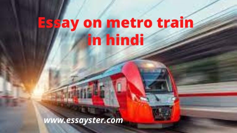 Read more about the article मेट्रो ट्रैन पर निबंध | Essay on Metro Train in Hindi