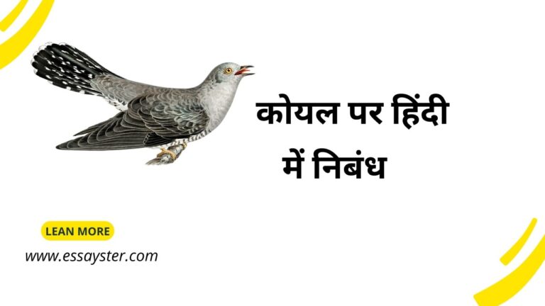 Read more about the article कोयल पर हिंदी निबंध | Essay on koyal in Hindi (1000+ words)